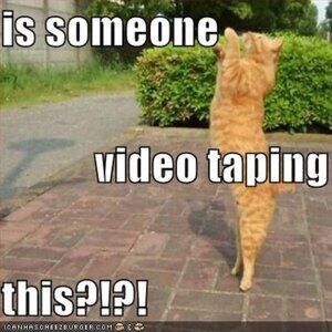 Yes!  I videotape packing of my items!